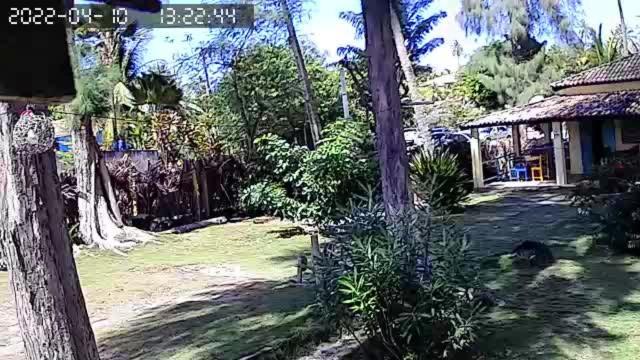 Pousada Vila Imbassai Eksteriør bilde
